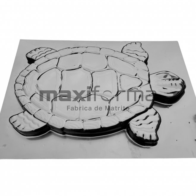 Matrite Testoasa, 50x30cm