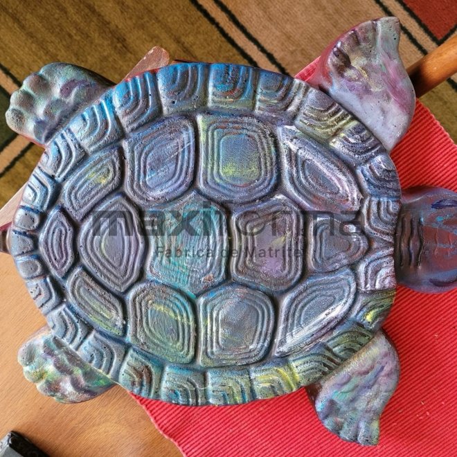 Matrite Testoasa, 50x30cm