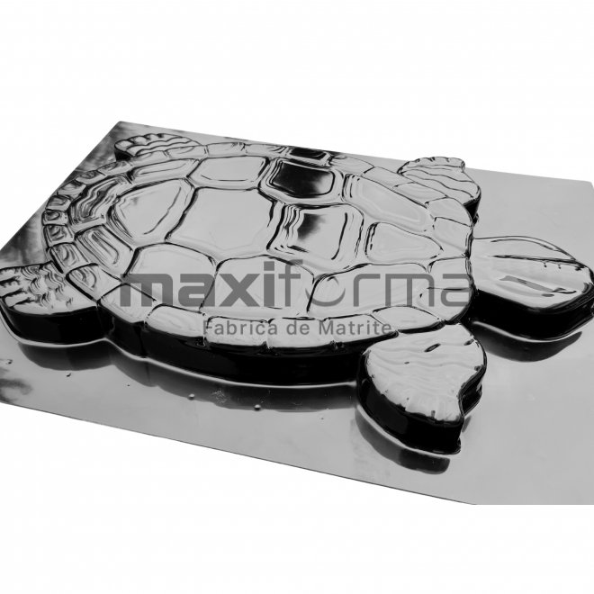 Matrite Testoasa, 50x30cm