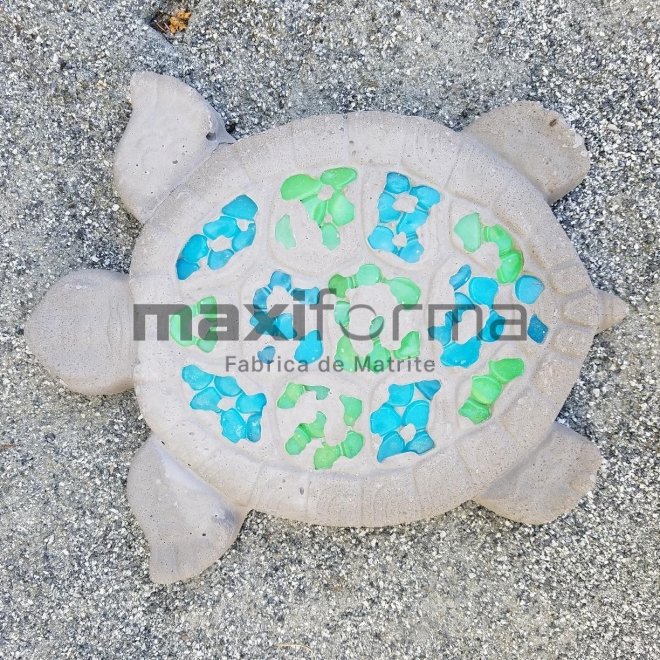 Matrite Testoasa, 50x30cm