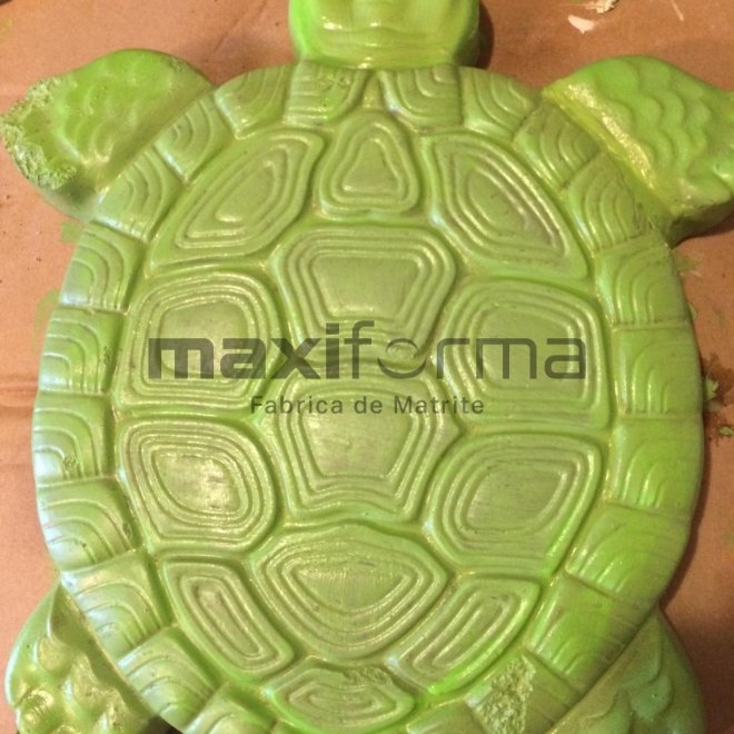 Matrite Testoasa, 50x30cm