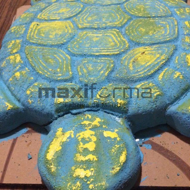 Matrite Testoasa, 50x30cm
