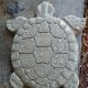 Matrite Testoasa, 50x30cm